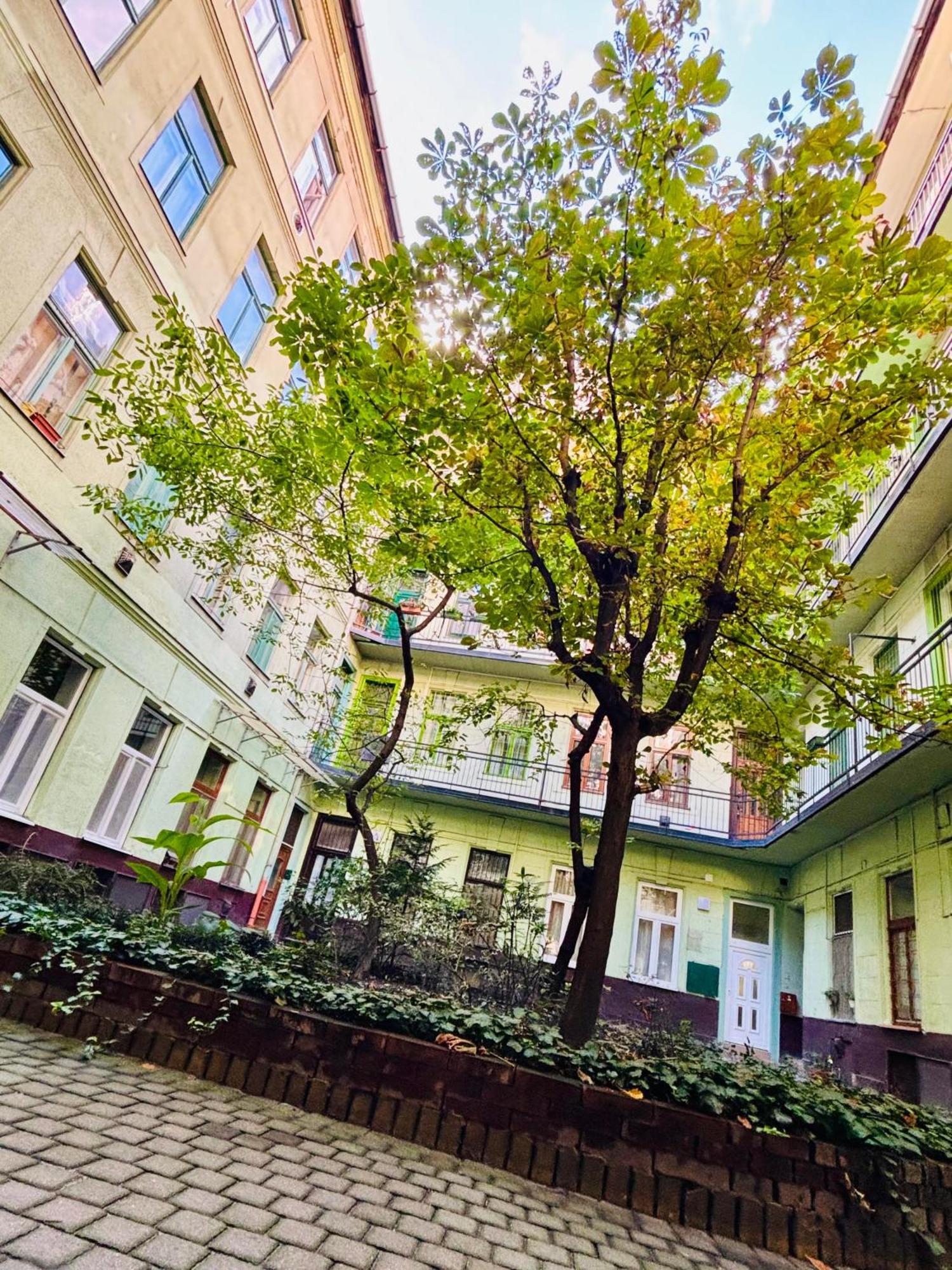 Ava Central Residence Budapest Eksteriør bilde